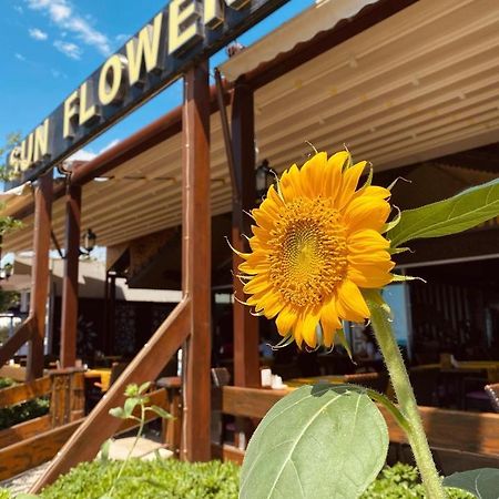 Sun Flower Apart Hotel ซีเด ภายนอก รูปภาพ