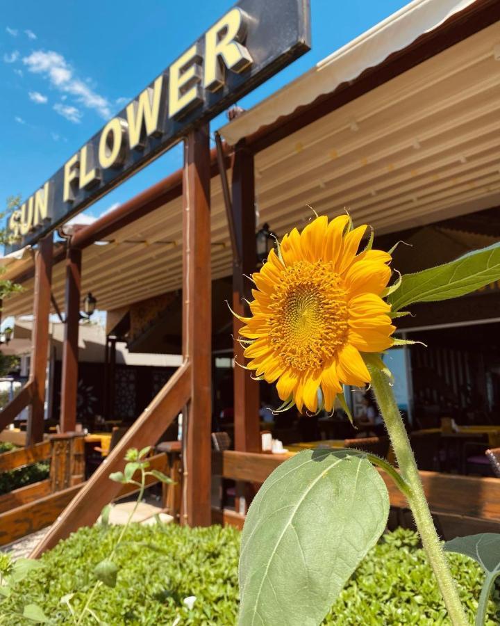 Sun Flower Apart Hotel ซีเด ภายนอก รูปภาพ
